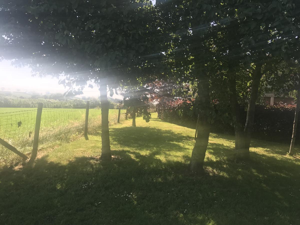Bed and Breakfast Beechtree Manor Cullybackey Zewnętrze zdjęcie